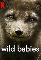 Wild Babies (2022)