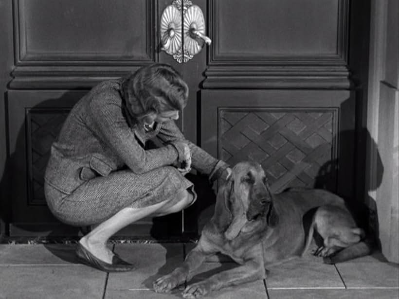 Nancy Kulp and Duke in The Beverly Hillbillies (1962)