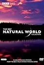 Natural World (1983)