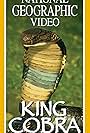 King Cobra (1997)