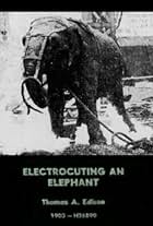 Topsy in Electrocuting an Elephant (1903)