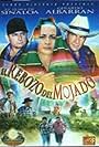 El rebozo del mojado (2002)