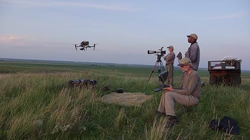 Examples of the directing and cinematography of Andrew Young of Archipelago Films, including his narrative, documentary, and natural history work.