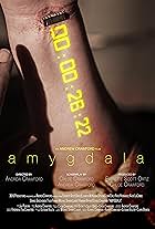 Amygdala