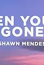 Shawn Mendes: When You're Gone (2022)