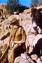 Number Seven in The Life and Times of Grizzly Adams (1977)