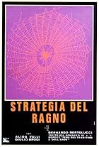 The Spider's Stratagem