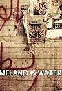 Homeland Is Not a Series (2015)