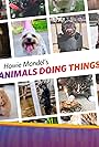 Howie Mandel's Animals Doing Things (2018)