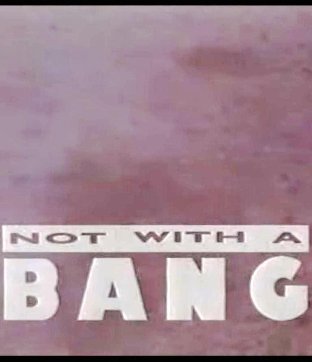 Not with a Bang (1990)