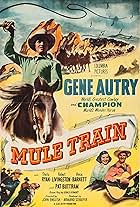 Mule Train