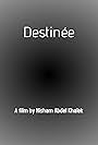 Destinée (2008)