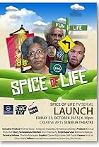 Spice of Life (2015)