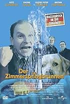 Der Zimmerspringbrunnen (2001)