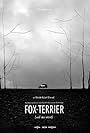 Fox-terrier (2017)