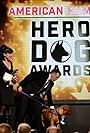 2016 Hero Dog Awards (2016)