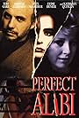 Perfect Alibi (1995)