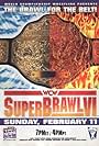 WCW SuperBrawl VI (1996)