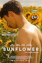 Sunflower (2023)