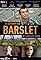 De geheimen van Barslet (TV Series 2011– ) Poster