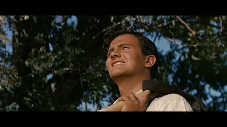 Pat Boone in April Love (1957)