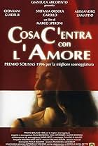 Cosa c'entra con l'amore (1997)