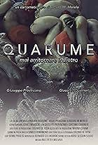 Quarume: Never go back (2018)