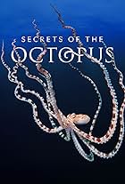 Secrets of the Octopus