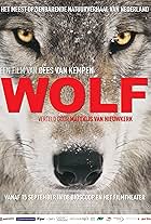 Wolf (2022)