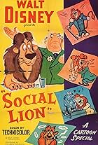 Social Lion