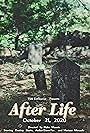 Afterlife (2020)