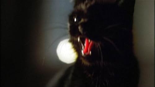 Masters of Horror: Stuart Gordon - The Black Cat