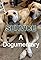 Service: A Dog-umentary's primary photo