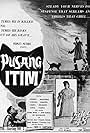 Pusang itim (1958)