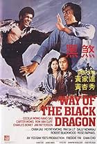 Way of the Black Dragon