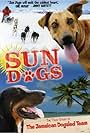 Sun Dogs (2006)