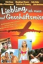 Liebling, ich muß auf Geschäftsreise (1995)