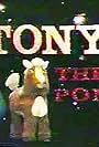 Tony the Pony (1976)