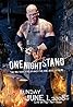 WWE One Night Stand (2008) Poster