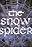 The Snow Spider