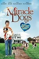 Miracle Dogs