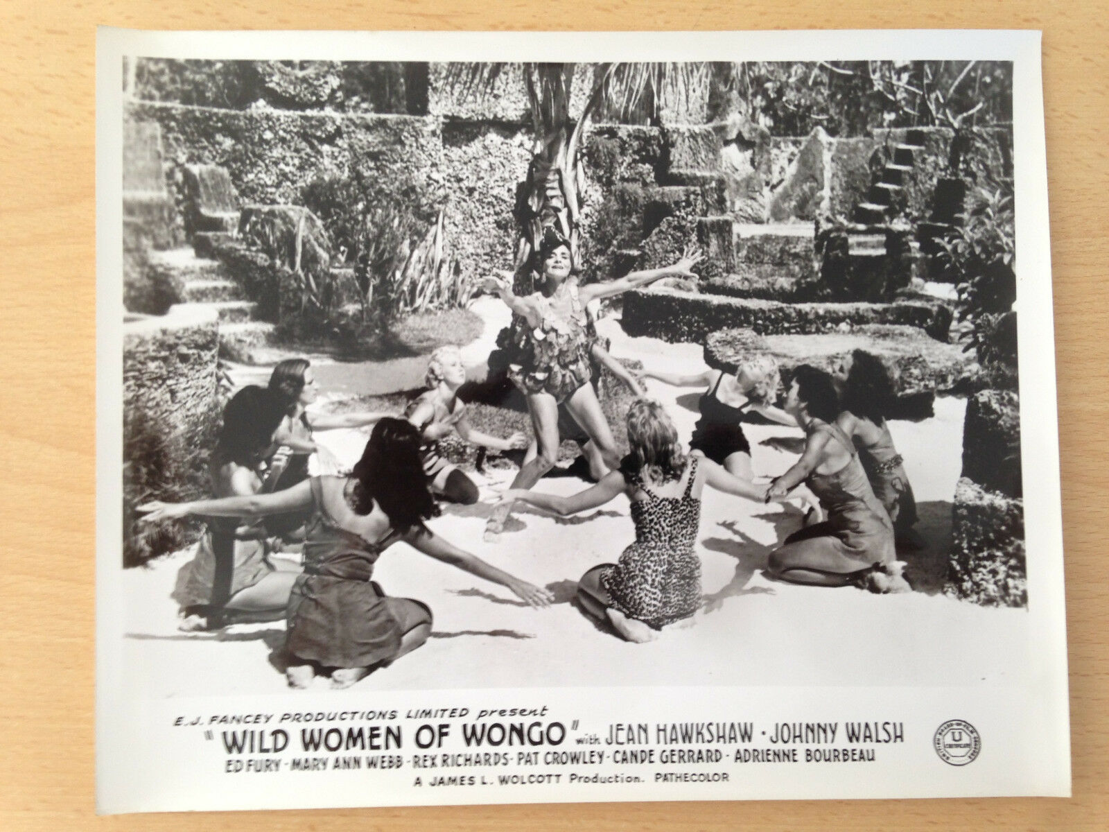 Adrienne Bourbeau, Candé Gerrard, Marie Goodhart, Jean Hawkshaw, Michelle Lamaack, Joyce Nizzari, Val Phillips, Olga Suarez, Jo Elaine Wagner, and Mary Ann Webb in The Wild Women of Wongo (1959)