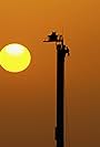 Burj Khalifa Pinnacle Base Jump (2014)