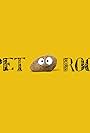 Pet Rock (2017)