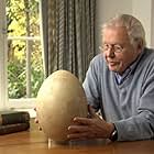 David Attenborough in Madagascar (2011)