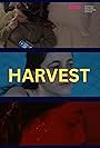 Harvest (2023)