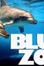 Blue Zoo (2014)