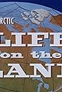 High Arctic: Life on the Land (1958)