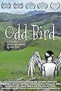 Odd Bird (2019)