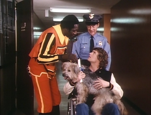 Patrick Cassidy, Meadowlark Lemon, and Johnny the Dog in Here's Boomer (1980)